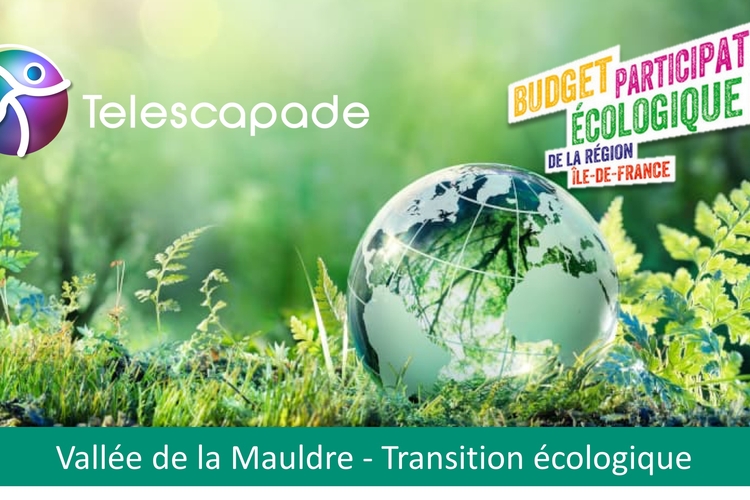 Transition_écologique.jpg